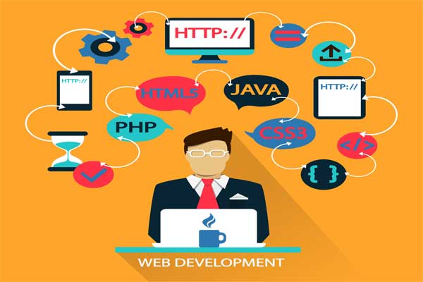 Treo Infotech Web Development